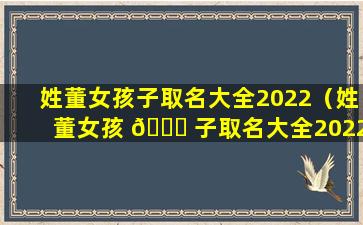 姓董女孩子取名大全2022（姓董女孩 🐘 子取名大全2022属虎）